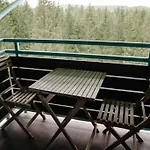 Silver Mountain, Poiana Brasov - Forest Crib